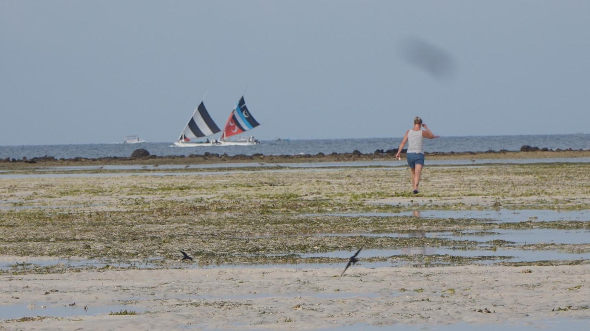Mola2 Resort Gili Air Eksteriør bilde