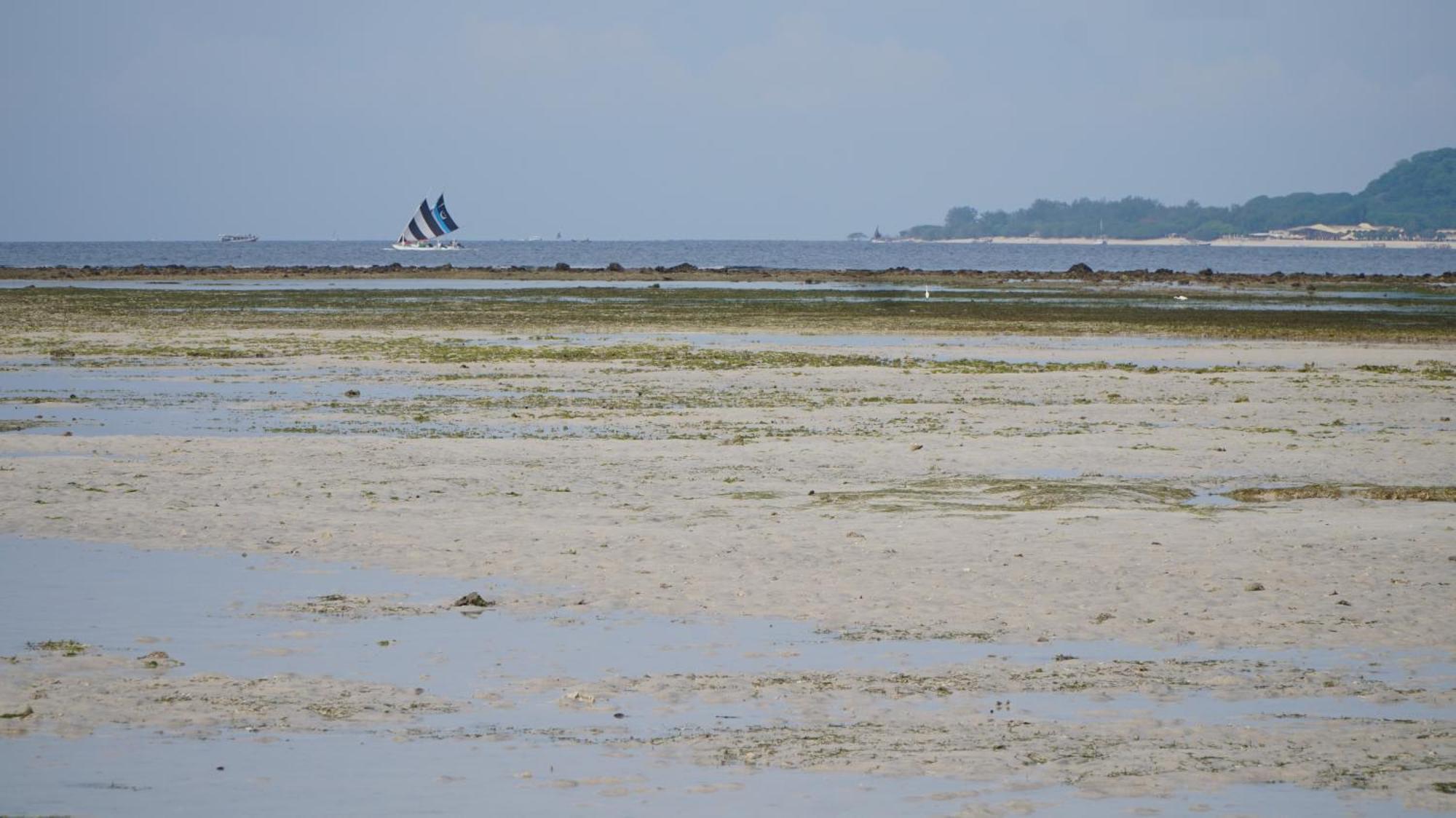 Mola2 Resort Gili Air Eksteriør bilde